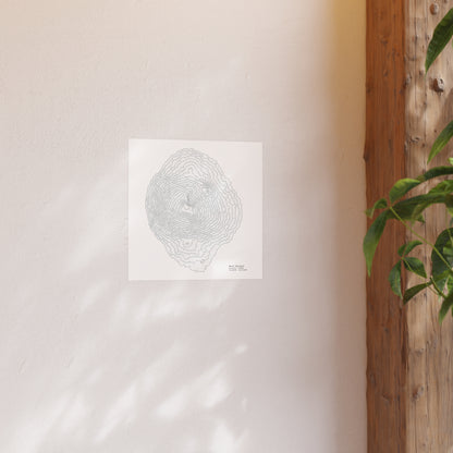 Mount Bachelor Topographic Satin Poster, Landscape Art Decor, Unique Gift, Wall Art, Hiking Decor, Home Office Decoration