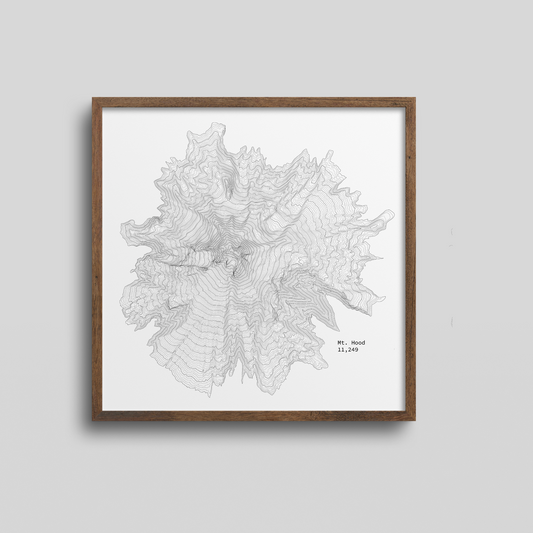 Mt. Hood Topographic Map Art Print